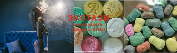 ECSTASY Бородино